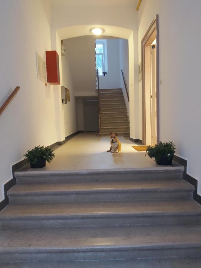 Draguc Apartment Pula